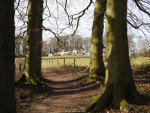 In de Elfterheurne